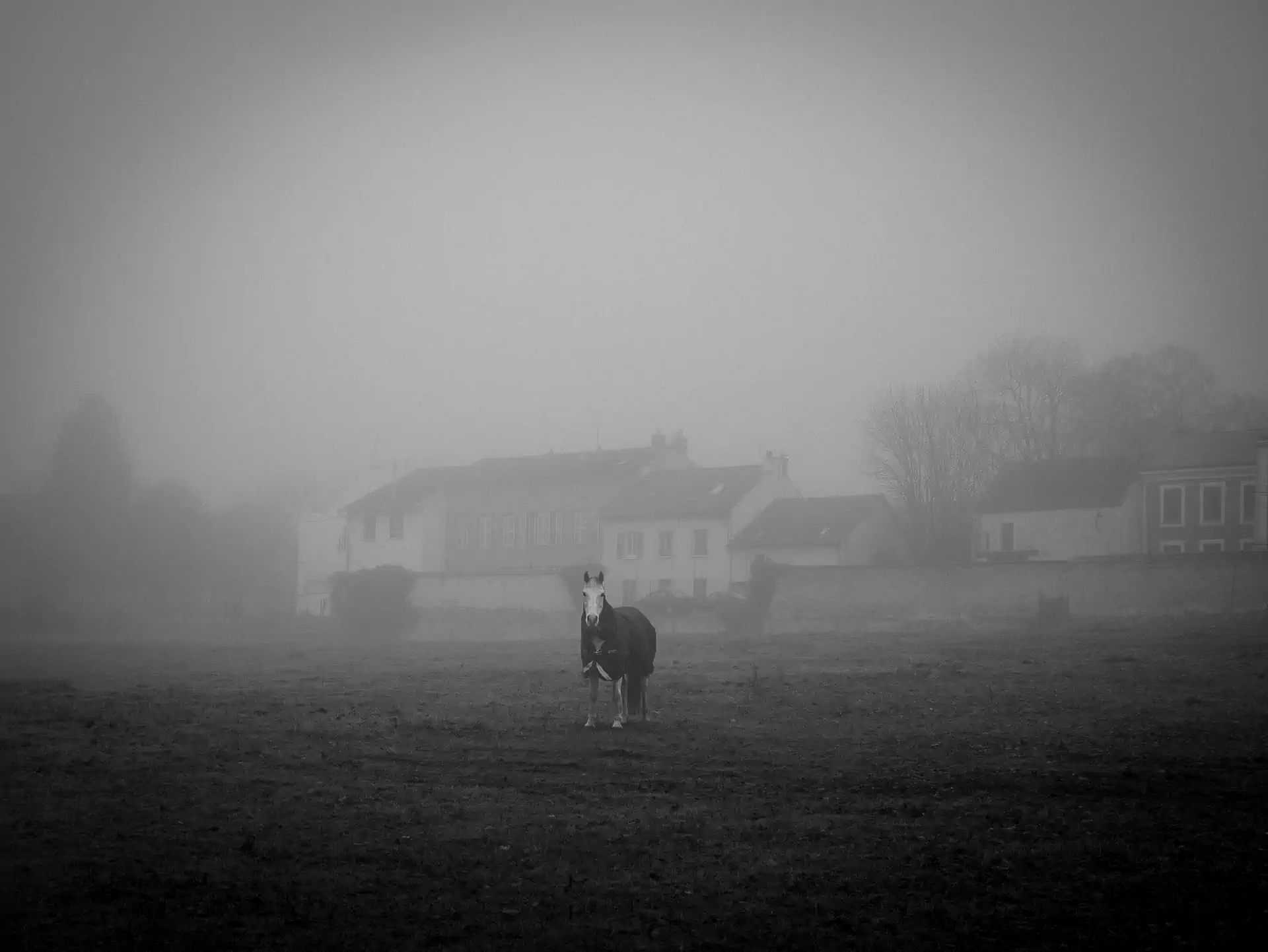 Black and White in LAPAUSEPHOTO.fr